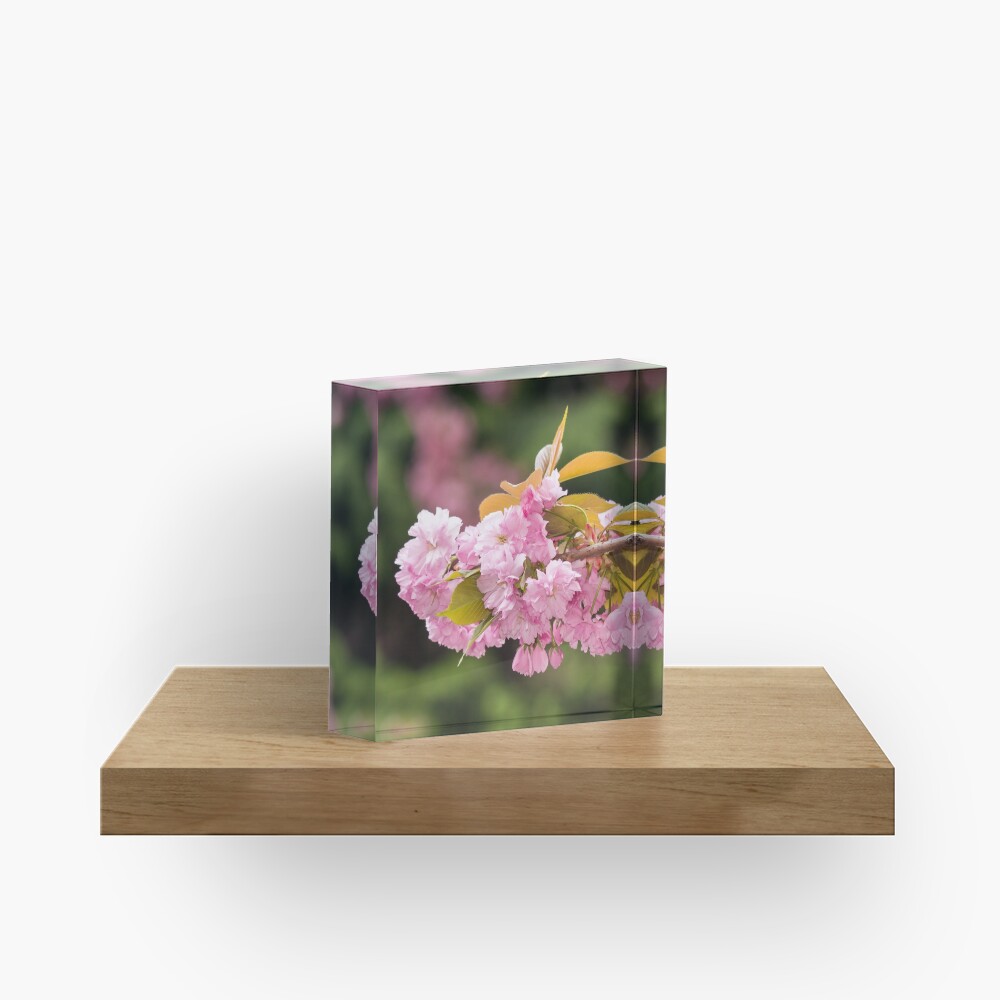 Item preview, Acrylic Block designed and sold by mike-pellinni.