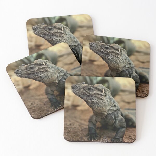 Item preview, Cool Rhinoceros Iguana Australian Wild Reptiles designed and sold by Michael Voyler.