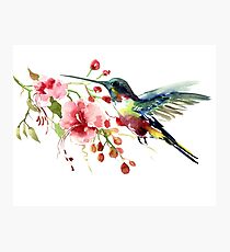 Hummingbird and Flowers Photographic Print