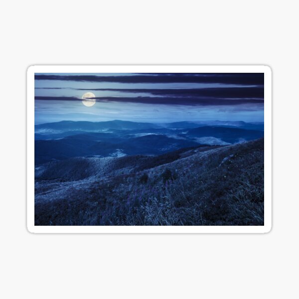 wild flowers on the mountain top at night Sticker