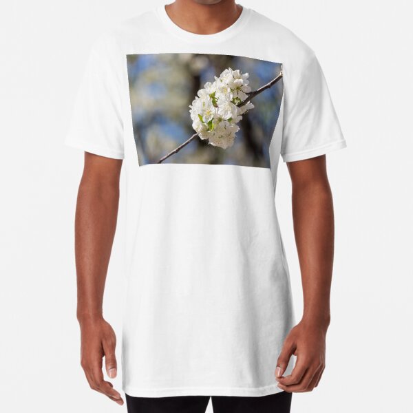 flowers of apple tree in sunlight Long T-Shirt