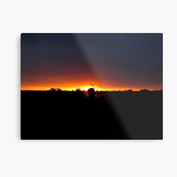 Elephant in the sunset Metal Print