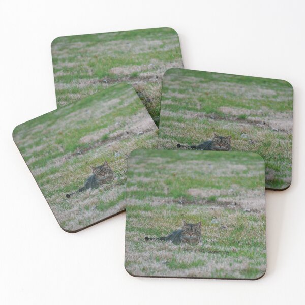 Item preview, Grassy Nap designed and sold by TheeForestFox Shop.