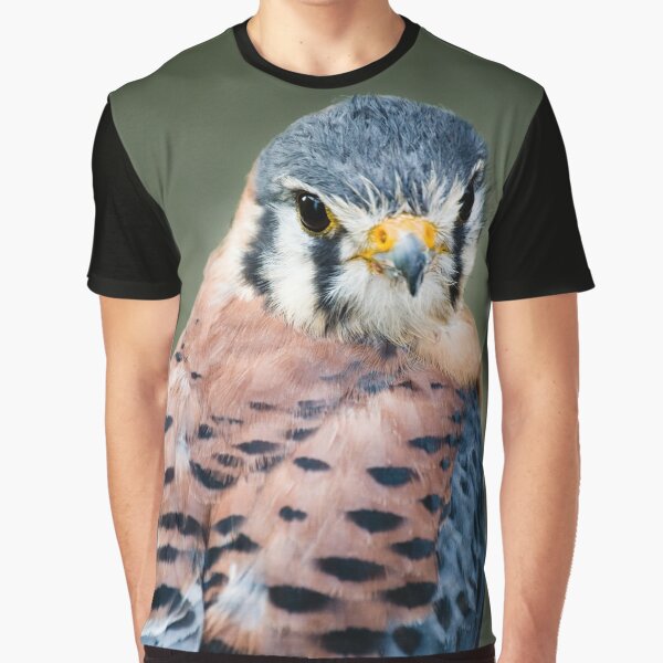 kestrel shirt