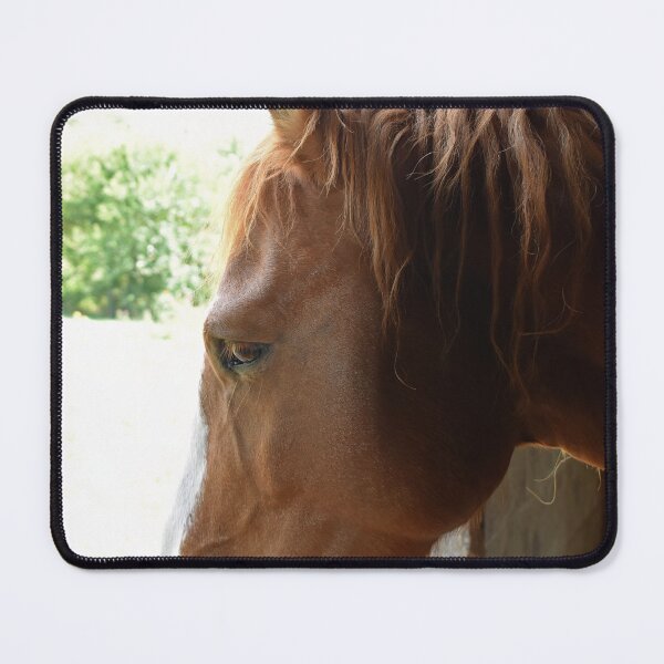 Item preview, Do Horses Ponder designed and sold by bertsworks300.