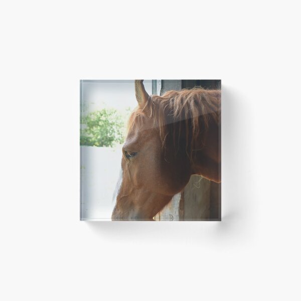Item preview, Do Horses Ponder designed and sold by bertsworks300.