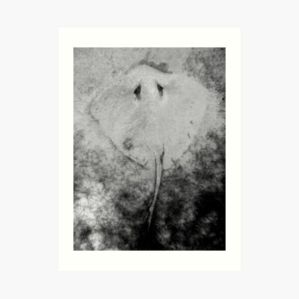 Sand Angel Art Print