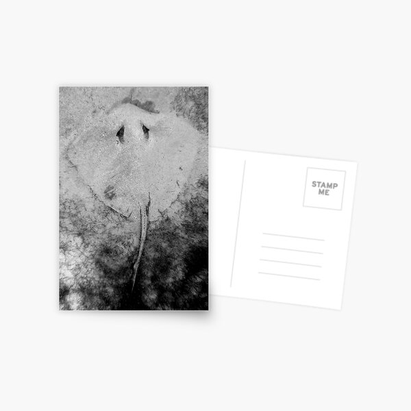 Sand Angel Postcard