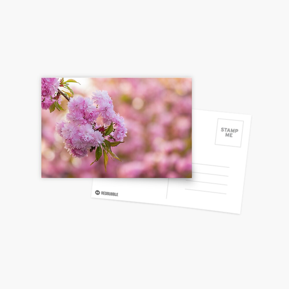 Item preview, Postcard designed and sold by mike-pellinni.