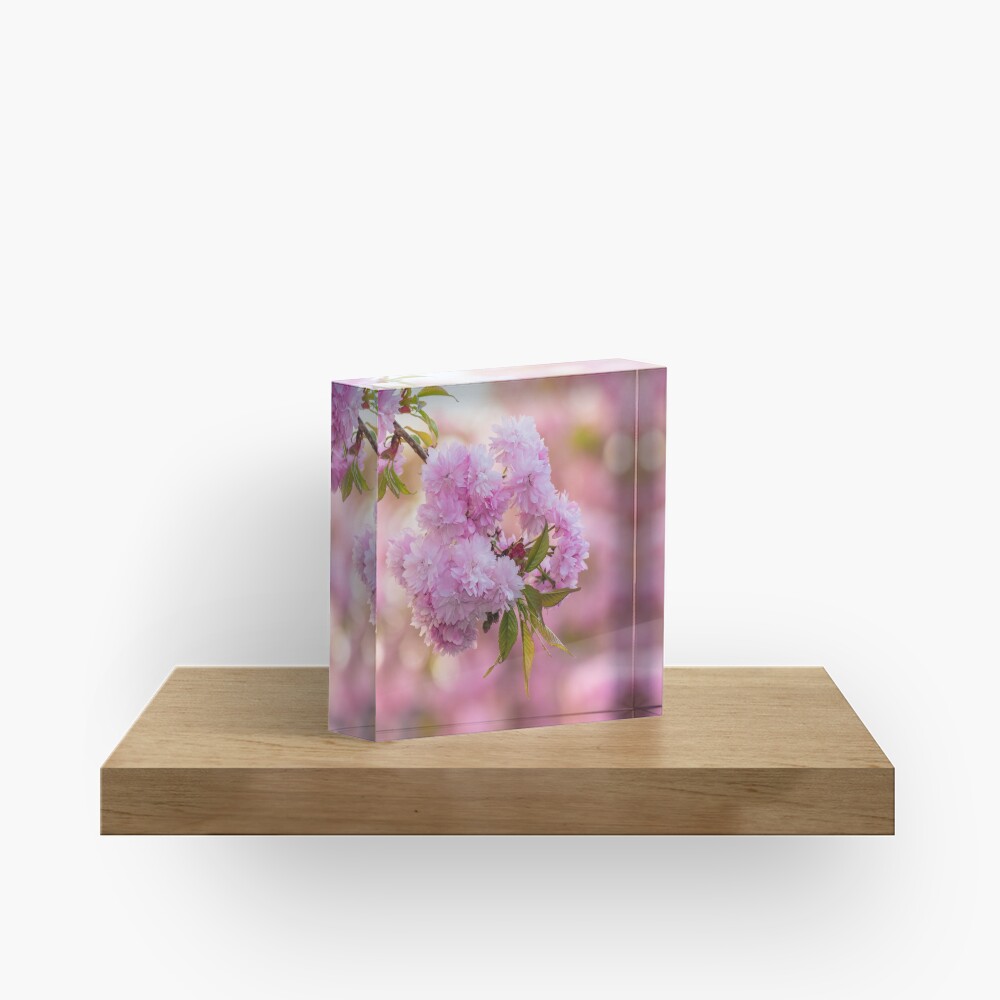 Item preview, Acrylic Block designed and sold by mike-pellinni.