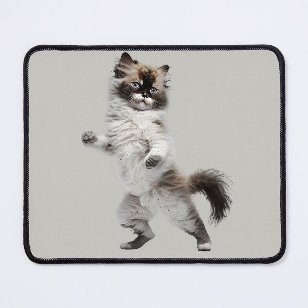 Item preview, Funny Dancing Cat POPULAR MUSIC designed and sold by THANKS4BUYING ⭐⭐⭐⭐⭐.