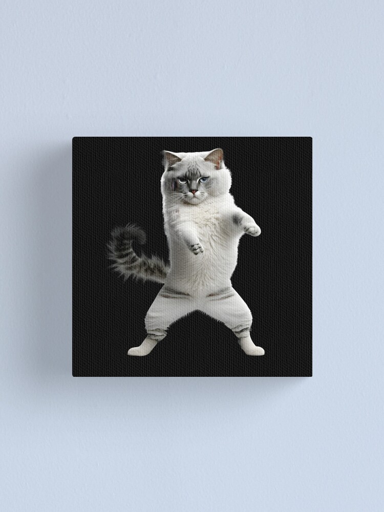 Dancing Cat Meme