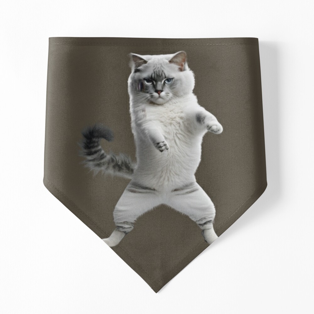 Funny Pop Music Cat Dancing Sticker for Sale by THANKS4BUYING