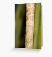 Growing Green Greeting Card