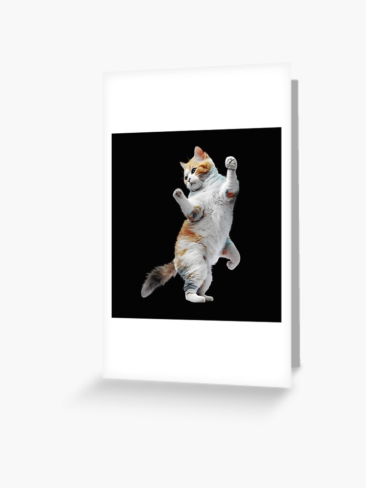 Funny Pop Music Cat Dancing Sticker for Sale by THANKS4BUYING