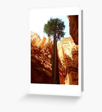 Strong Greeting Card