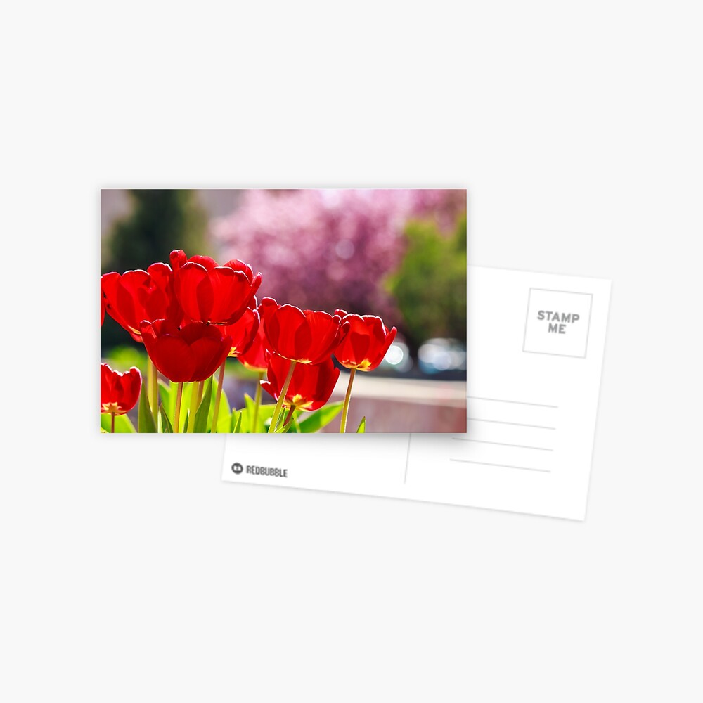 Item preview, Postcard designed and sold by mike-pellinni.