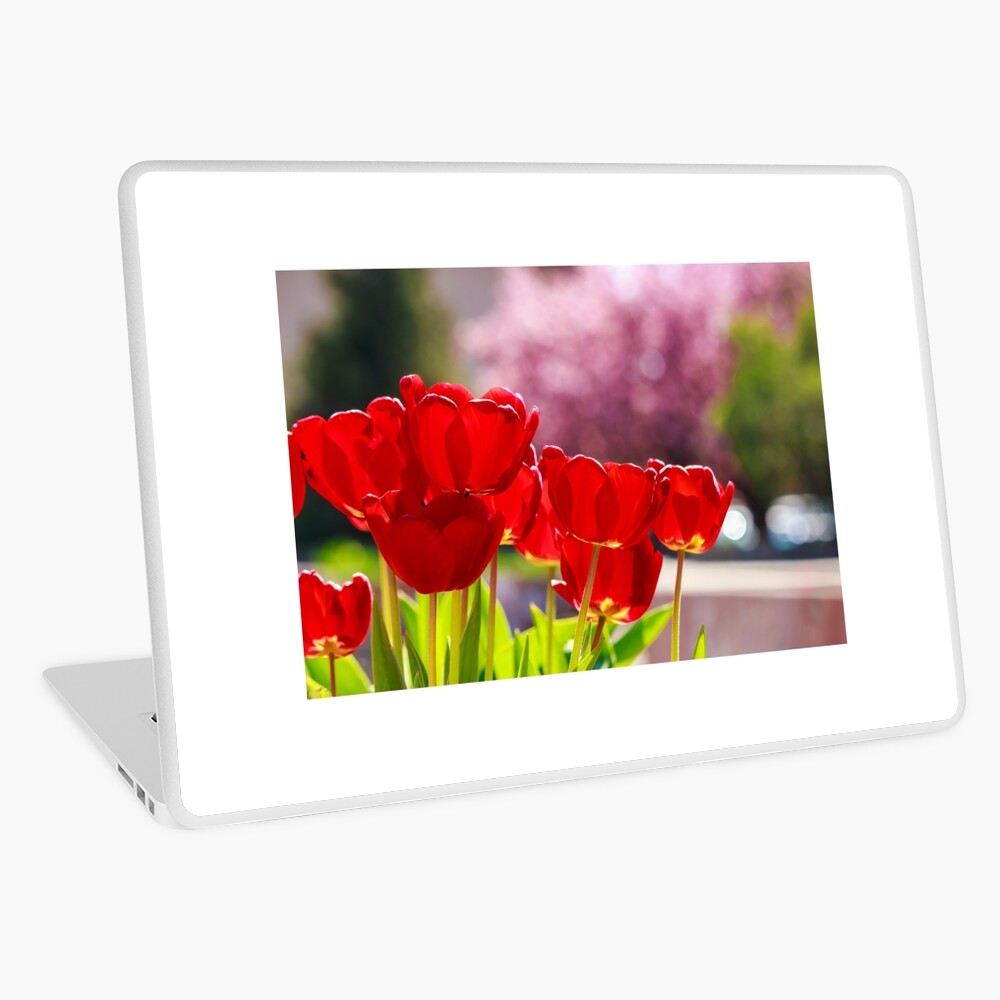 Item preview, Laptop Skin designed and sold by mike-pellinni.