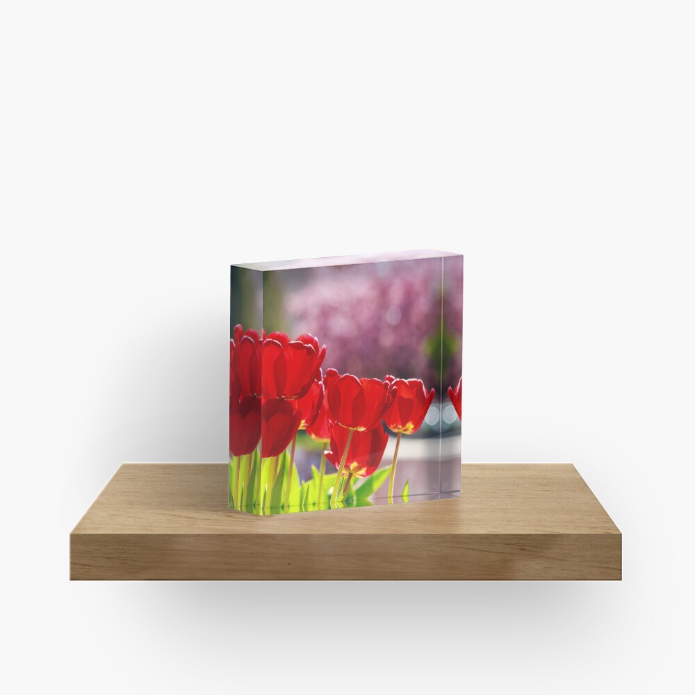 Item preview, Acrylic Block designed and sold by mike-pellinni.