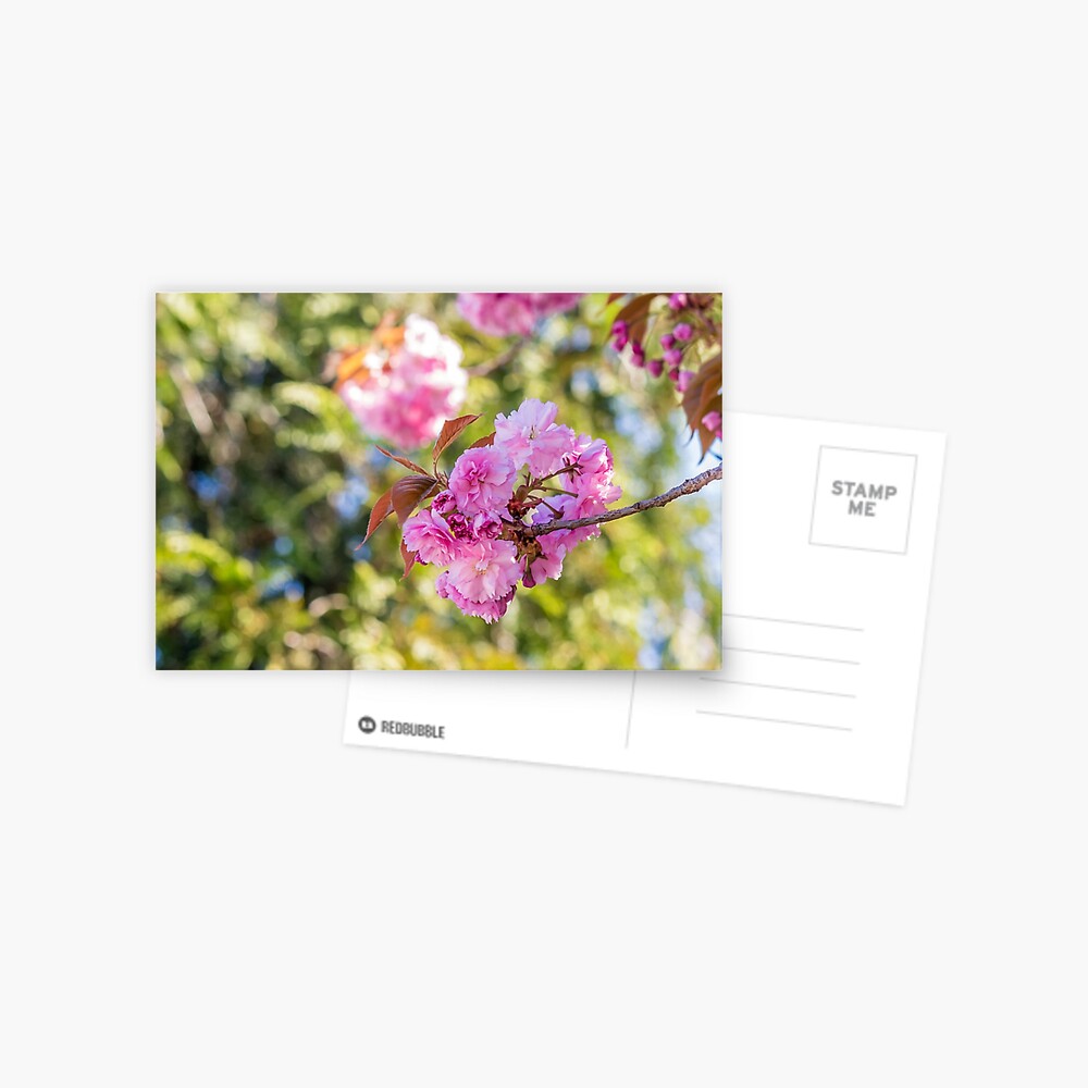 Item preview, Postcard designed and sold by mike-pellinni.