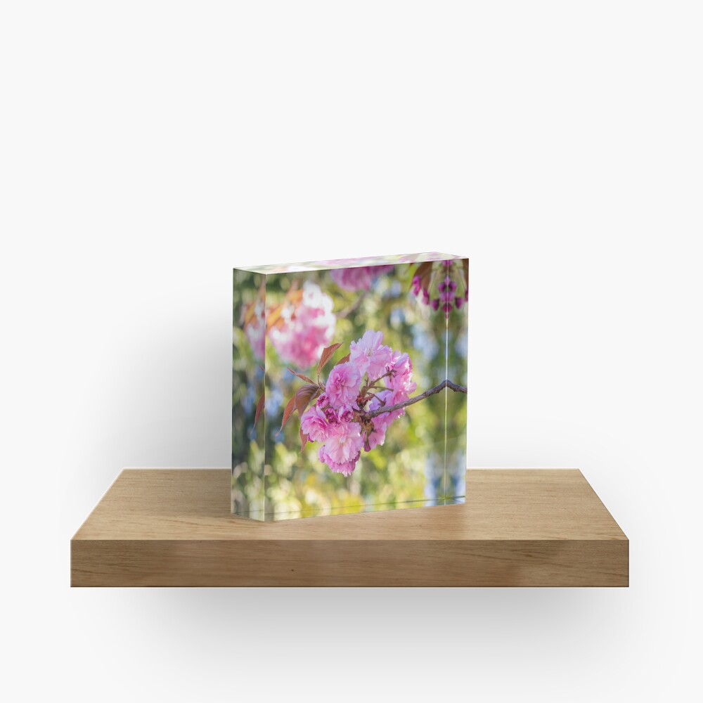 Item preview, Acrylic Block designed and sold by mike-pellinni.