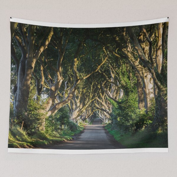 Item preview, The Dark Hedges designed and sold by cmphotographs.
