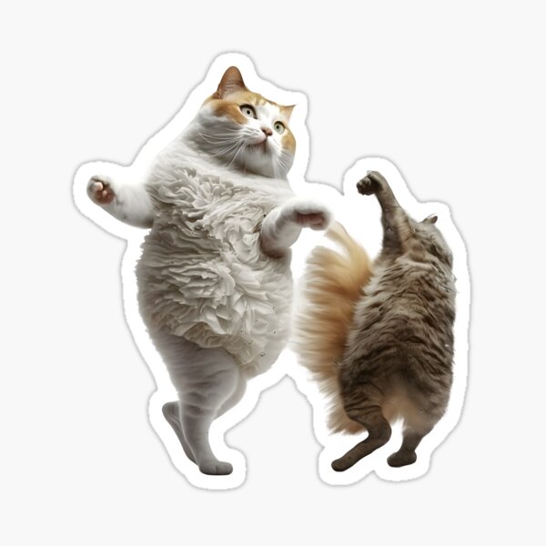 Funny Pop Music Cat Dancing Sticker for Sale by THANKS4BUYING