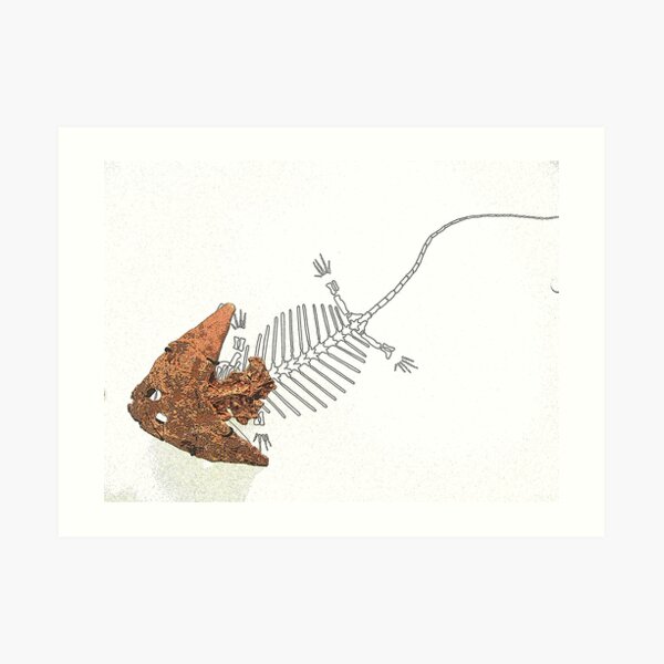 Arrowhead Art Print