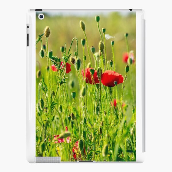 red poppy in the wheat field iPad Snap Case