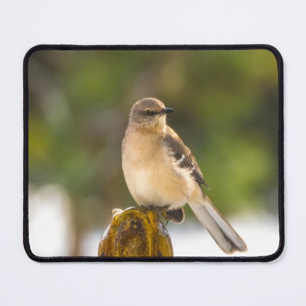 Item preview, Mockingbird designed and sold by JohnDSmith.
