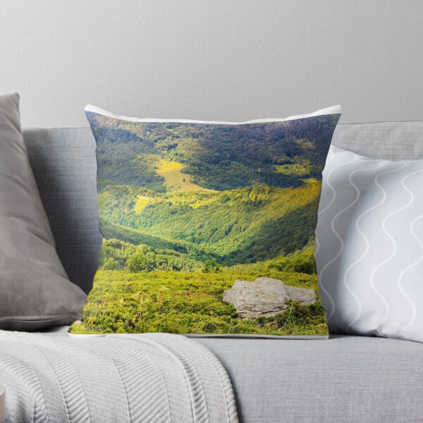 hillside with stones in high mountains Throw Pillow