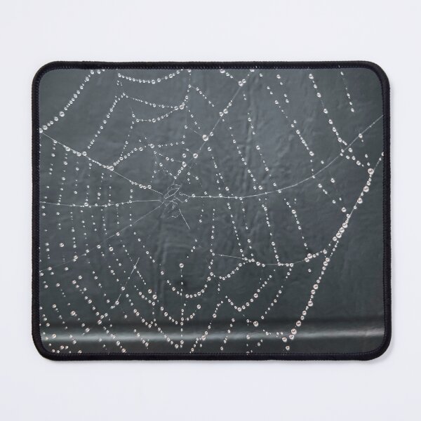 Item preview, Spider Web designed and sold by Craig Kauzmann.