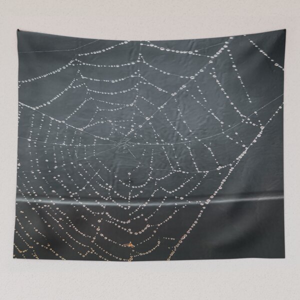 Artikelvorschau, Spider Web entworfen und verkauft von Craig Kauzmann.