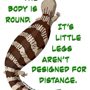 Artwork thumbnail, Round Blue-Tongue by WildFroggo
