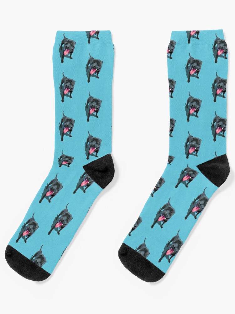 Dog aqua shop socks