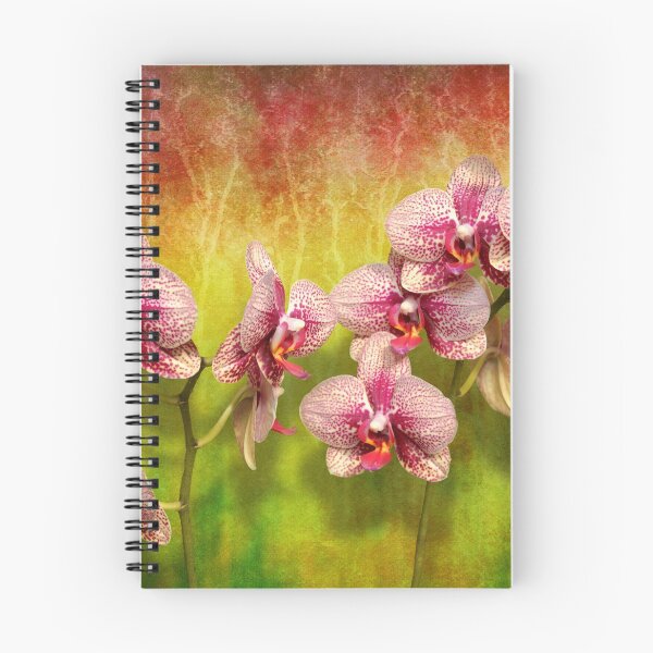 Item preview, Orchid - Phalaenopsis - Simply a delight designed and sold by Mike Savad Photography.