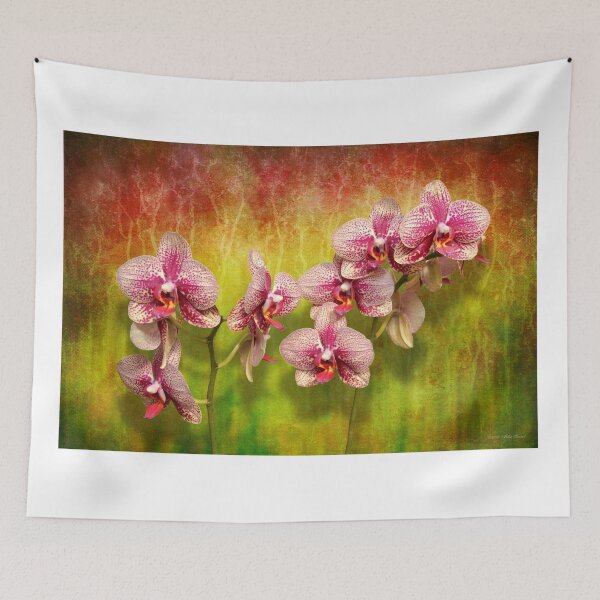 Item preview, Orchid - Phalaenopsis - Simply a delight designed and sold by Mike Savad Photography.