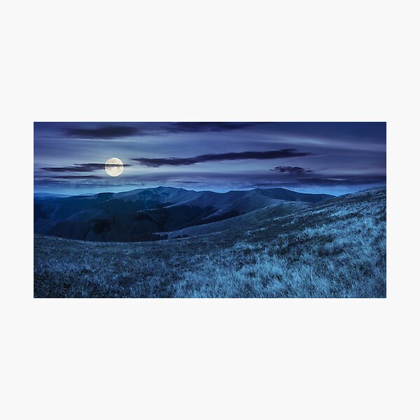 wild grass on mountain top at night Photographic Print
