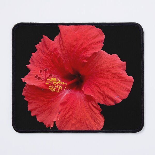 Item preview, Red Hibiscus designed and sold by Sparkleweather.