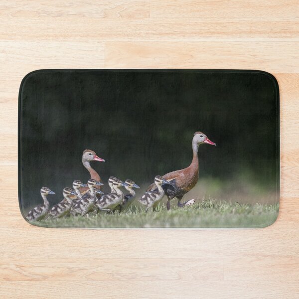 Item preview, Black-bellied whistling duck with its babies designed and sold by Puttaswamy Ravishankar.