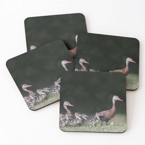 Item preview, Black-bellied whistling duck with its babies designed and sold by Puttaswamy Ravishankar.