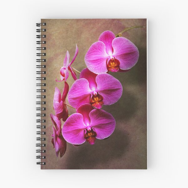 Item preview, Orchid - Phalaenopsis - The moth orchid designed and sold by Mike Savad Photography.