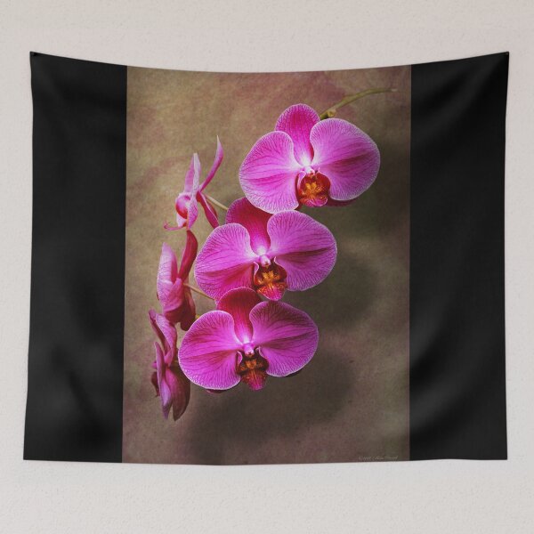 Item preview, Orchid - Phalaenopsis - The moth orchid designed and sold by Mike Savad Photography.