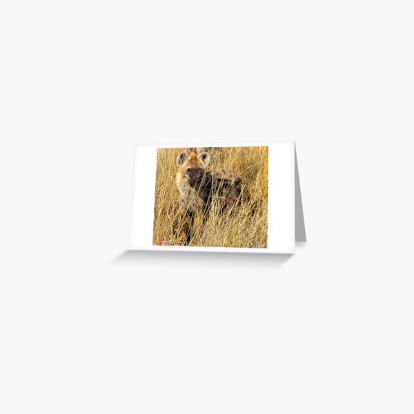 Hyena Greeting Card