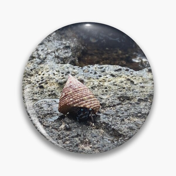 Item preview, Hermit Crab at the Tidal Pools designed and sold by MirandaOriginal.