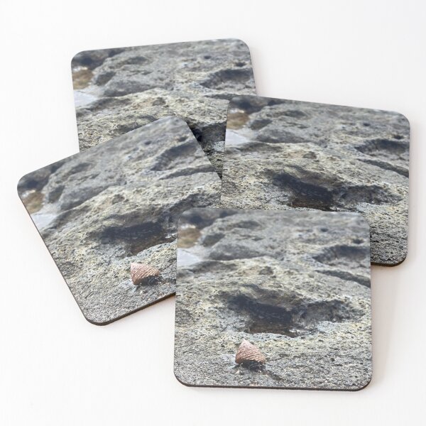 Item preview, Hermit Crab at the Tidal Pools designed and sold by MirandaOriginal.