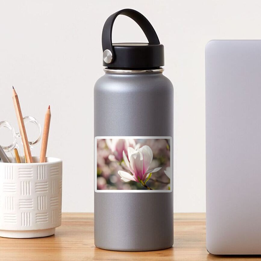 magnolia flowers on a blurry background Sticker