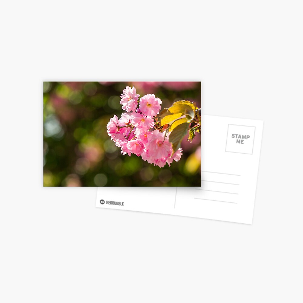 Item preview, Postcard designed and sold by mike-pellinni.