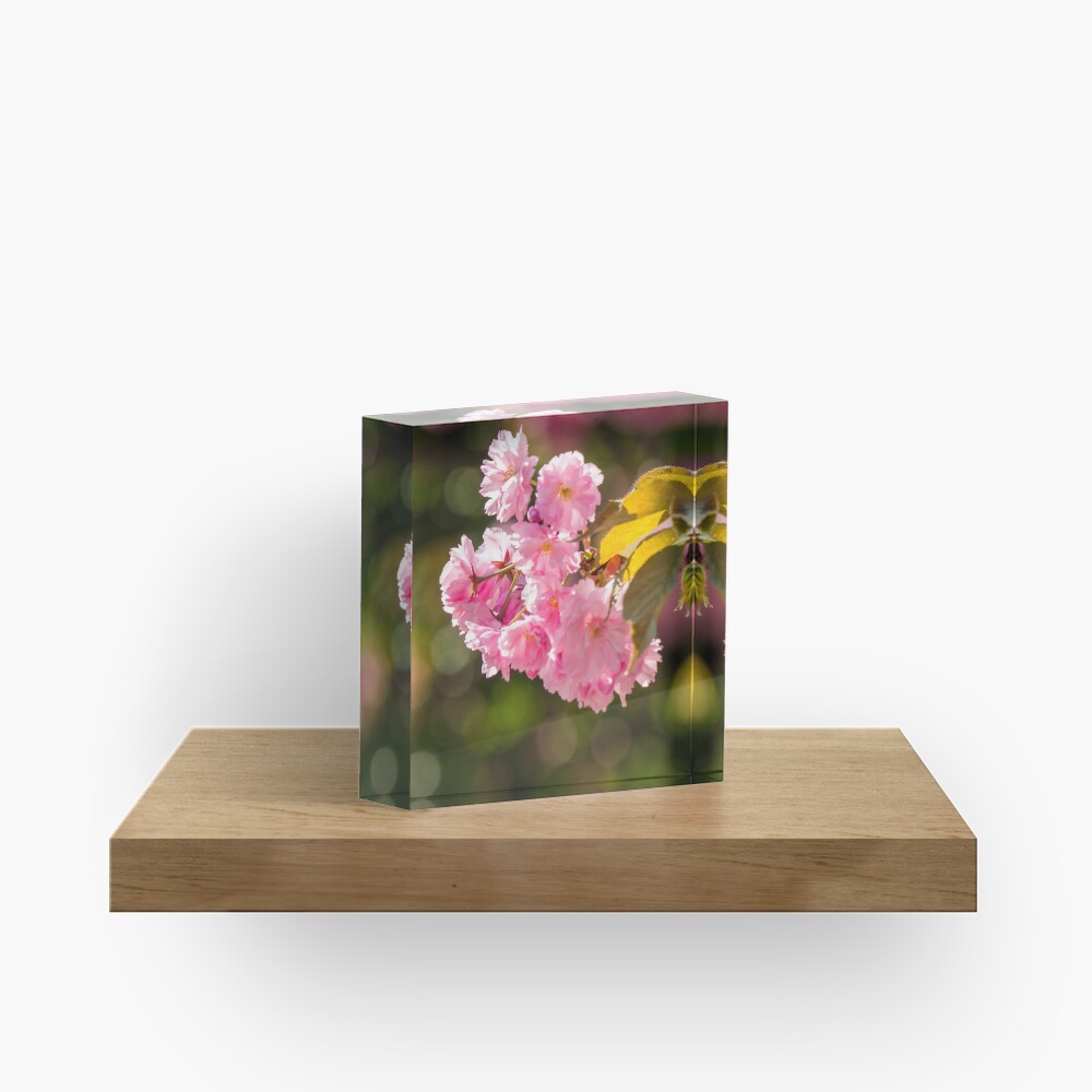 Item preview, Acrylic Block designed and sold by mike-pellinni.