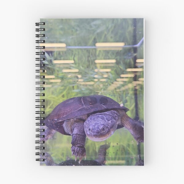 Item preview, Chelonian ElitebyElise designed and sold by ElitebyElise.